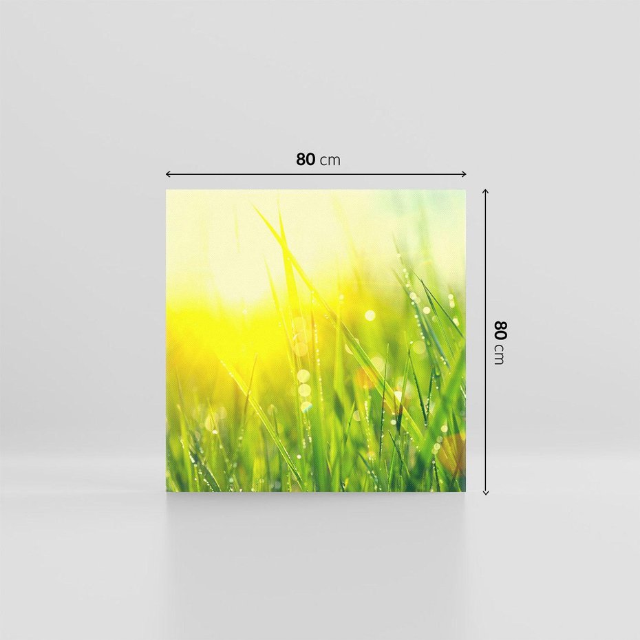 Obraz na płótnie 80x80 - Piękno Poranka - łąka, trawa
