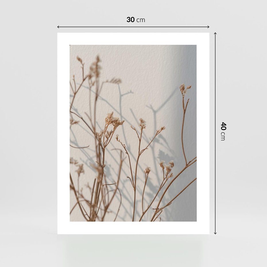 Plakat bez ramy 30x40 - Boho gałązki suche - gałązki, suche