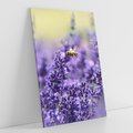 Obraz na płótnie 50x70 - Magia lawendy delikatne kwiaty - lawenda, kwiat