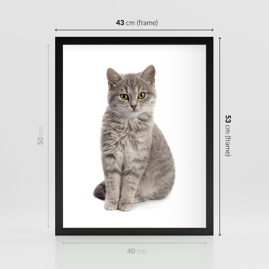 Plakat w ramie 40x50 - Kocie uroki na płótnie - kot, kotek - rama czarna