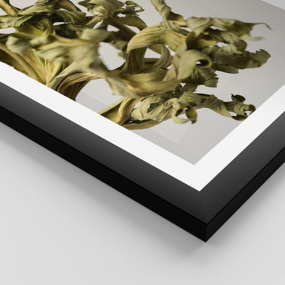 Plakat w ramie 30x40 - Odejście pory deszczowej - suche, trawy - rama czarna