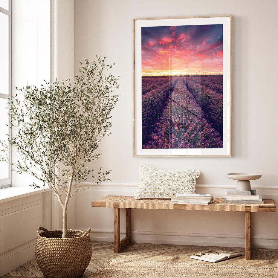 Plakat w ramie 30x40 - Różowe Niebo nad Polami - pola lawendy, zachód słońca - rama drewno