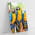 Obraz na płótnie 70x100 - Kolorowa parada papug - papuga, papugi