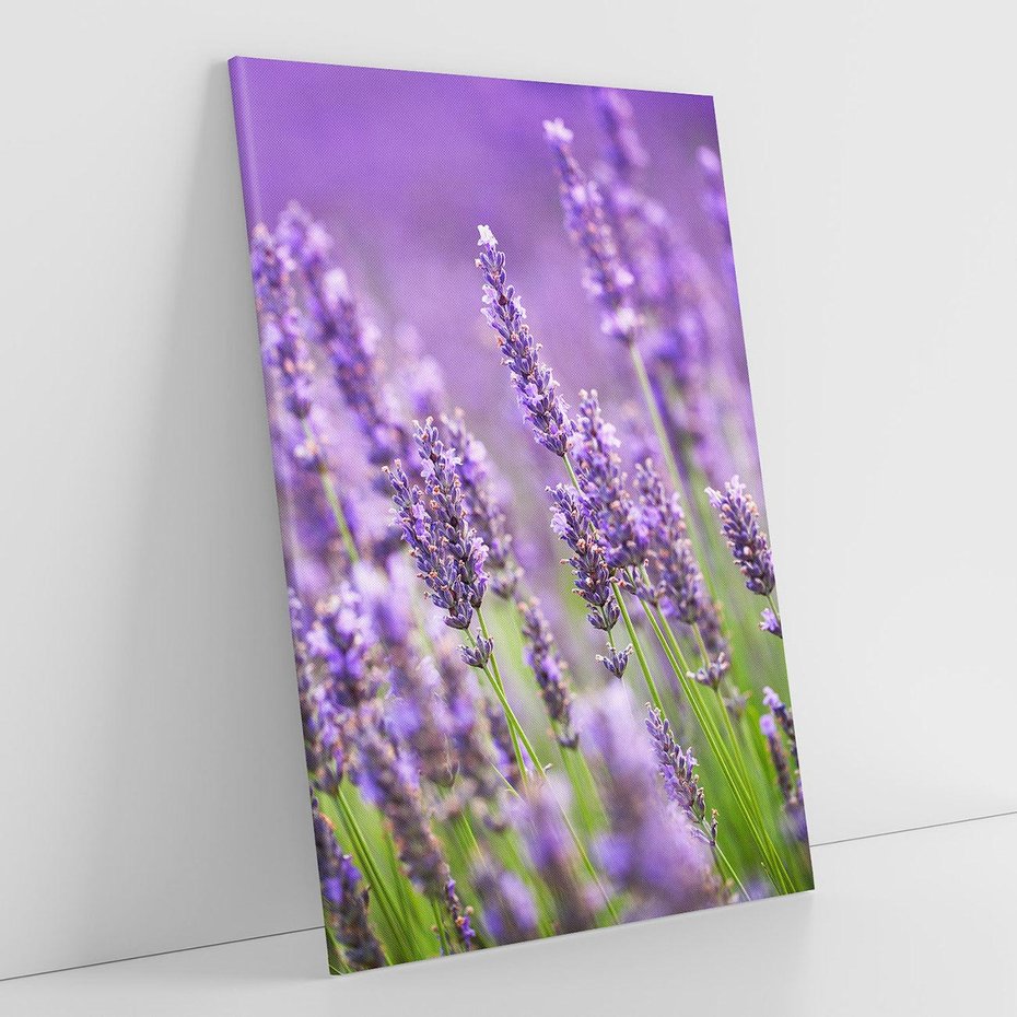 Obraz na płótnie 80x120 - Urok lawendy - lawenda, kwiaty