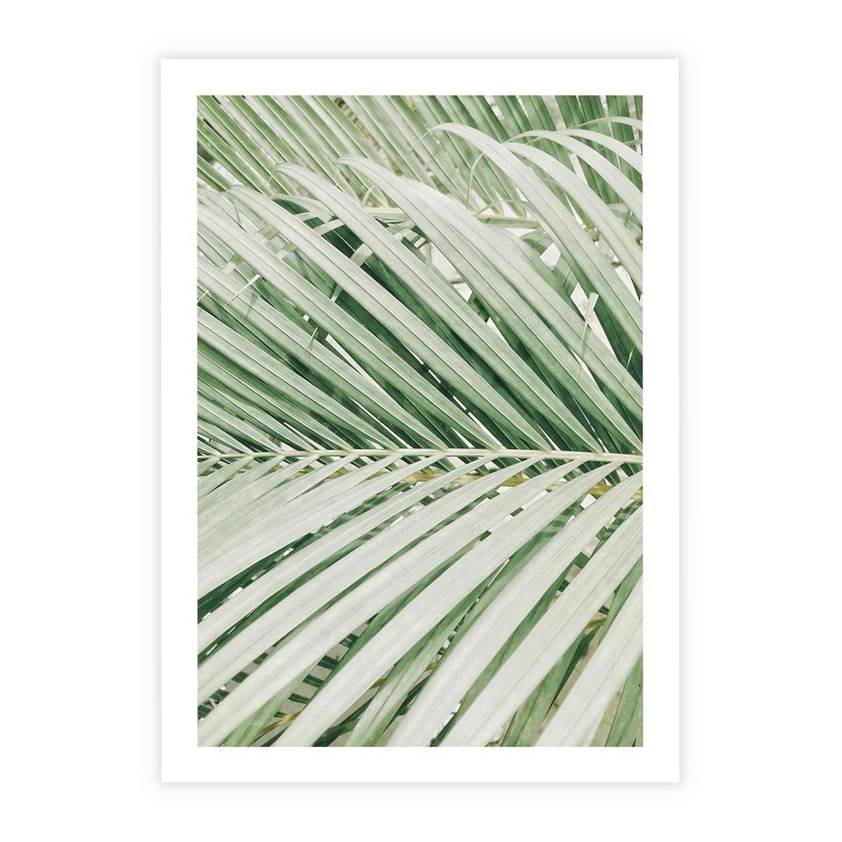 Plakat bez ramy 21x30 - Liście Palmy: Egzotyczna Grafika - palma, liście palmy