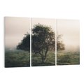 Obraz na płótnie 120x80 - Zamglona Prostota - artystyczna fotografia, samotne drzewo na zamglonej łące
