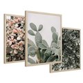 Zestaw obrazy w ramie 30x40 galeria - Rośliny, liście, kaktusy - rama drewno