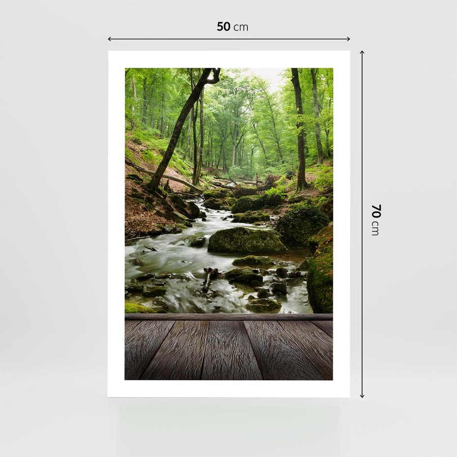 Plakat bez ramy 50x70 - Strumyk w lesie - strumyk, w lesie