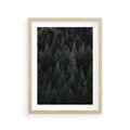 Plakat w ramie 30x40 - Wysoko nad Iglastym Lasem - las, perspektywa - rama drewno