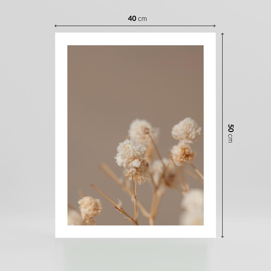 Plakat bez ramy 40x50 - Przezroczyste piękno - gipsówka, suche