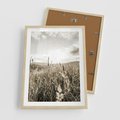 Plakat w ramie 50x70 - Łąka w Klimacie Sepii - suche trawy, łąka - rama drewno