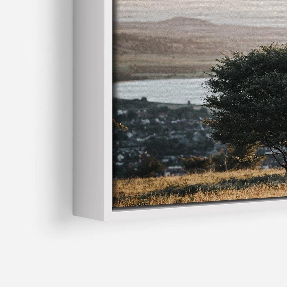 Obraz w ramie 50x50 - Siła Natury - drzewo, pejzaż - rama biała