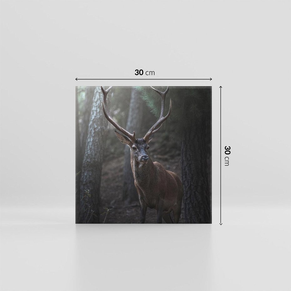 Obraz na płótnie 30x30 - Jeleń wśród lasu - jeleń, las