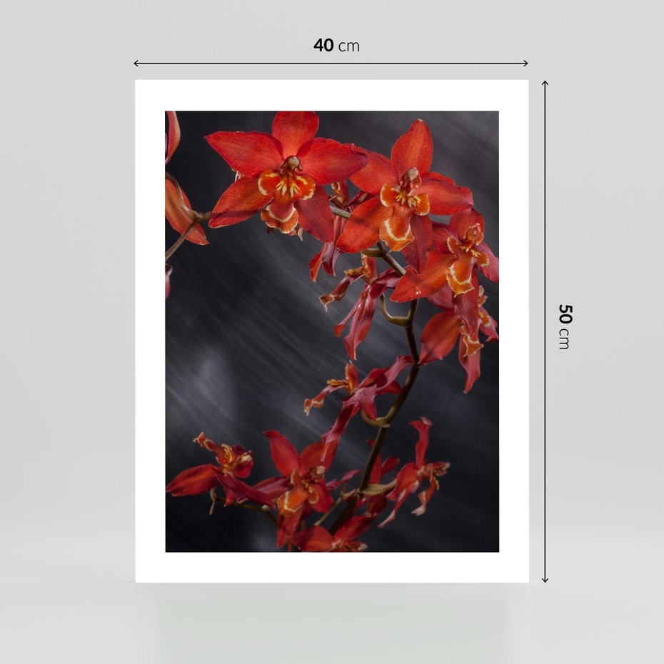 Plakat bez ramy 40x50 - Kolorowy Raj - kwiaty, tropikalne