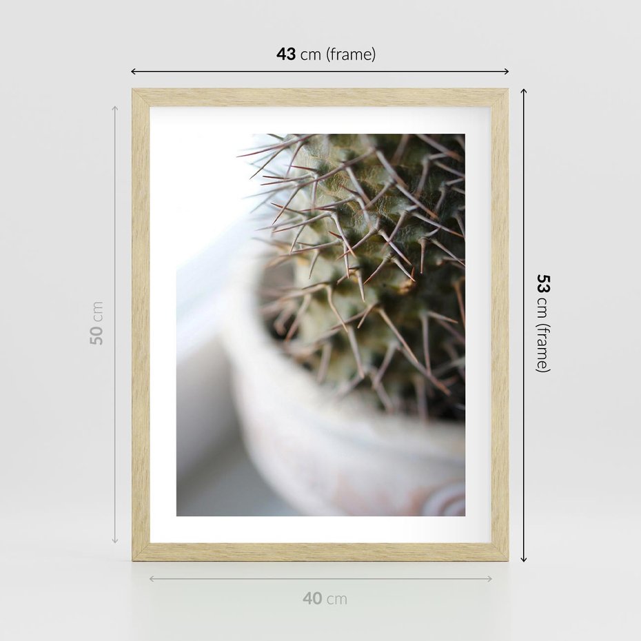 Plakat w ramie 40x50 - Kaktus w Zbliżeniu - kaktus, igły - rama drewno