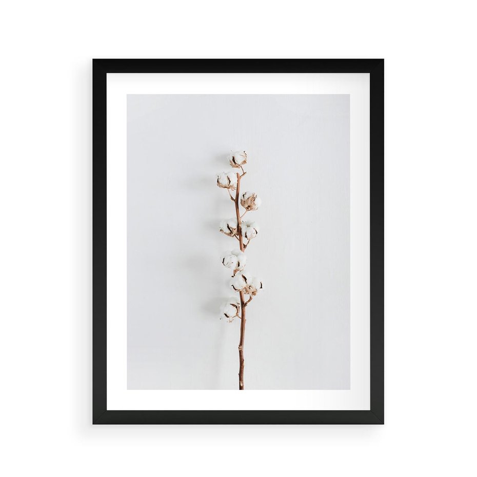 Plakat w ramie 40x50 - Minimalistyczna Gałązka Bawełny - bawełna, gałązka bawełny - rama czarna