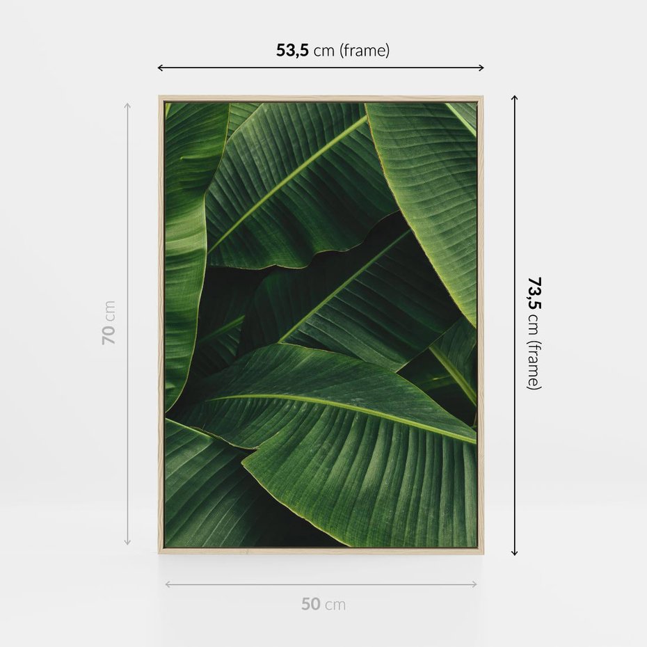 Obraz w ramie 50x70 - Zaklęta roślinna ekspresja - liście bananowca, gęsto ułożone - rama drewno