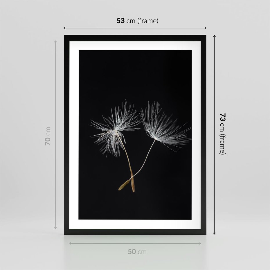 Plakat w ramie 50x70 - Delikatność Wiatru - dmuchawce, makro - rama czarna