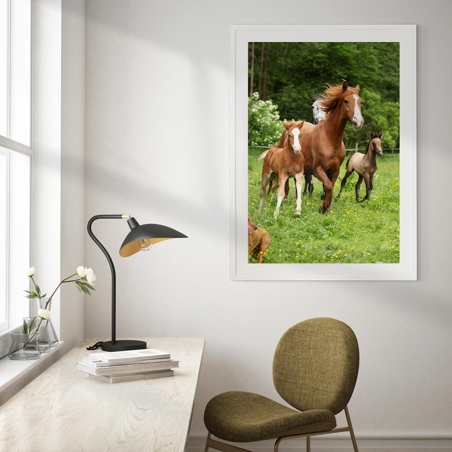 Plakat bez ramy 30x40 - Galopujące konie - konie, galop