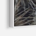 Obraz w ramie 70x50 - Ulotna Piękność Natury - makro, dmuchawce - rama biała