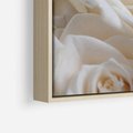 Obraz w ramie 70x100 - Białe róże piękności - białe, róże - rama drewno