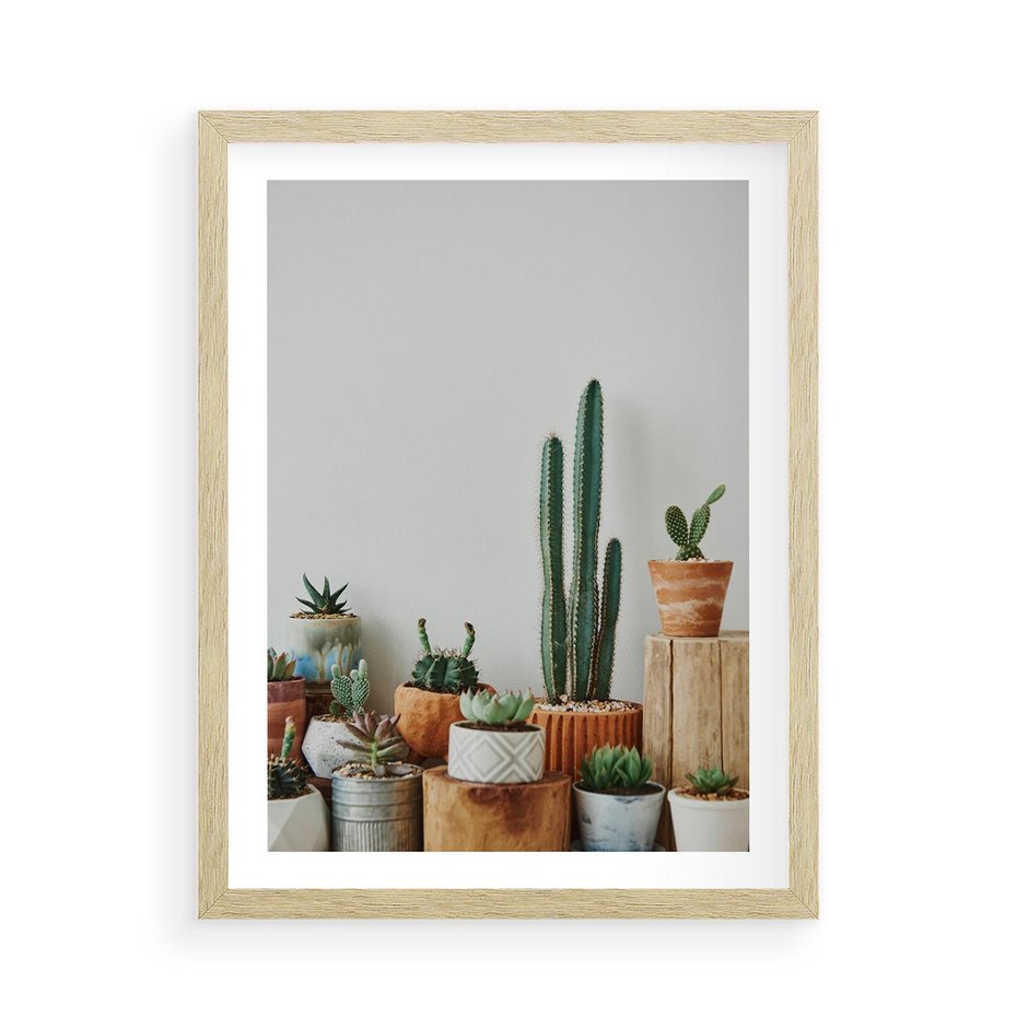 Plakat w ramie 50x70 - Naturalna Harmonia - kaktusy, liście - rama drewno