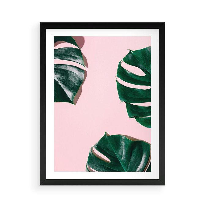 Plakat w ramie 50x70 - Siła Natury - liście, monstera - rama czarna