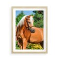 Plakat w ramie 50x70 - Elegancki wierzchowiec - koń, portret - rama drewno