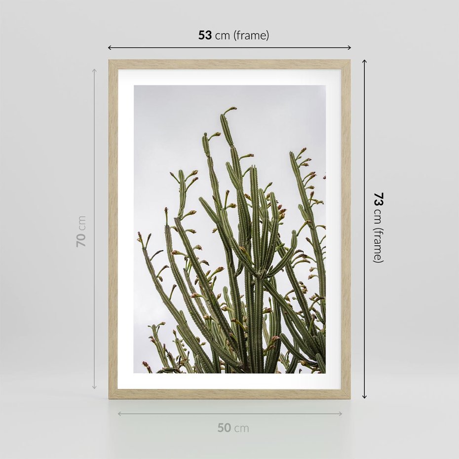 Plakat w ramie 50x70 - Ekskluzywna Roślinność - kaktusy, liście - rama drewno