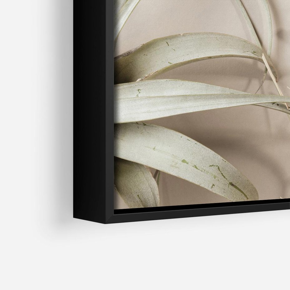 Obraz w ramie 50x50 - Boho urok suchych liści - suche, liście - rama czarna