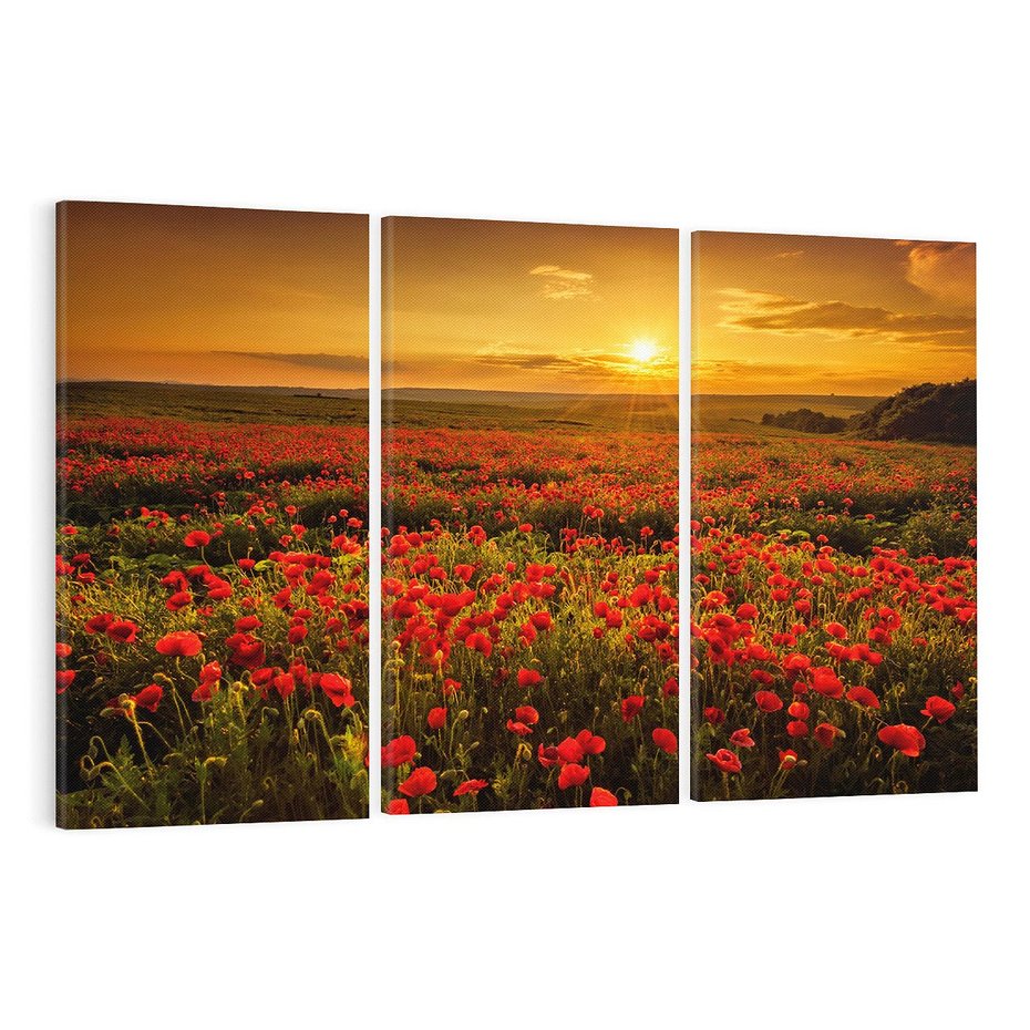 Obraz na płótnie 120x80 - Makowe uczucia - maki, kwiaty