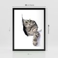 Plakat w ramie 30x40 - Tajemniczy kot i jego świat - kot, dziura - rama czarna