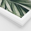 Plakat w ramie 50x70 - Spokojna Piękność Palmowych Liści - palma, liście palmy - rama biała