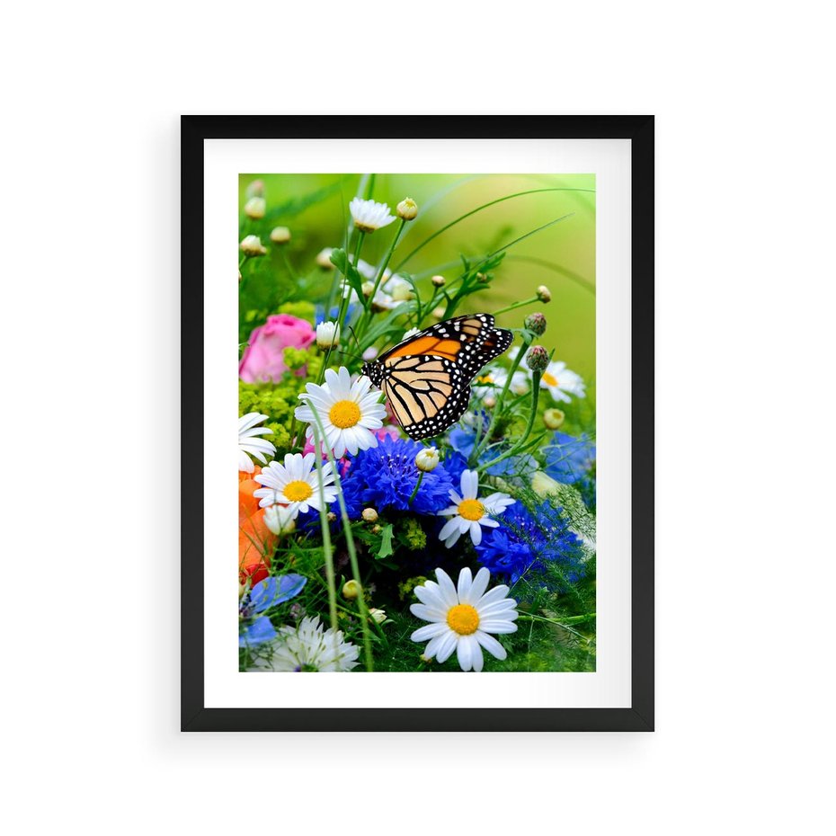 Plakat w ramie 30x40 - Kwiatowy Taniec - motyl, kwiaty - rama czarna