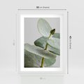 Plakat w ramie 30x40 - Eukaliptusowa zieleń - eukaliptus, zielone - rama biała