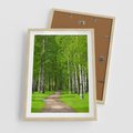 Plakat w ramie 50x70 - Spacer Ścieżką w Urokliwym Lesie - las, ścieżka - rama drewno