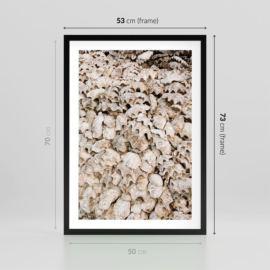 Plakat w ramie 50x70 - Symfonia Natury - kompozycja z białych muszli - rama czarna