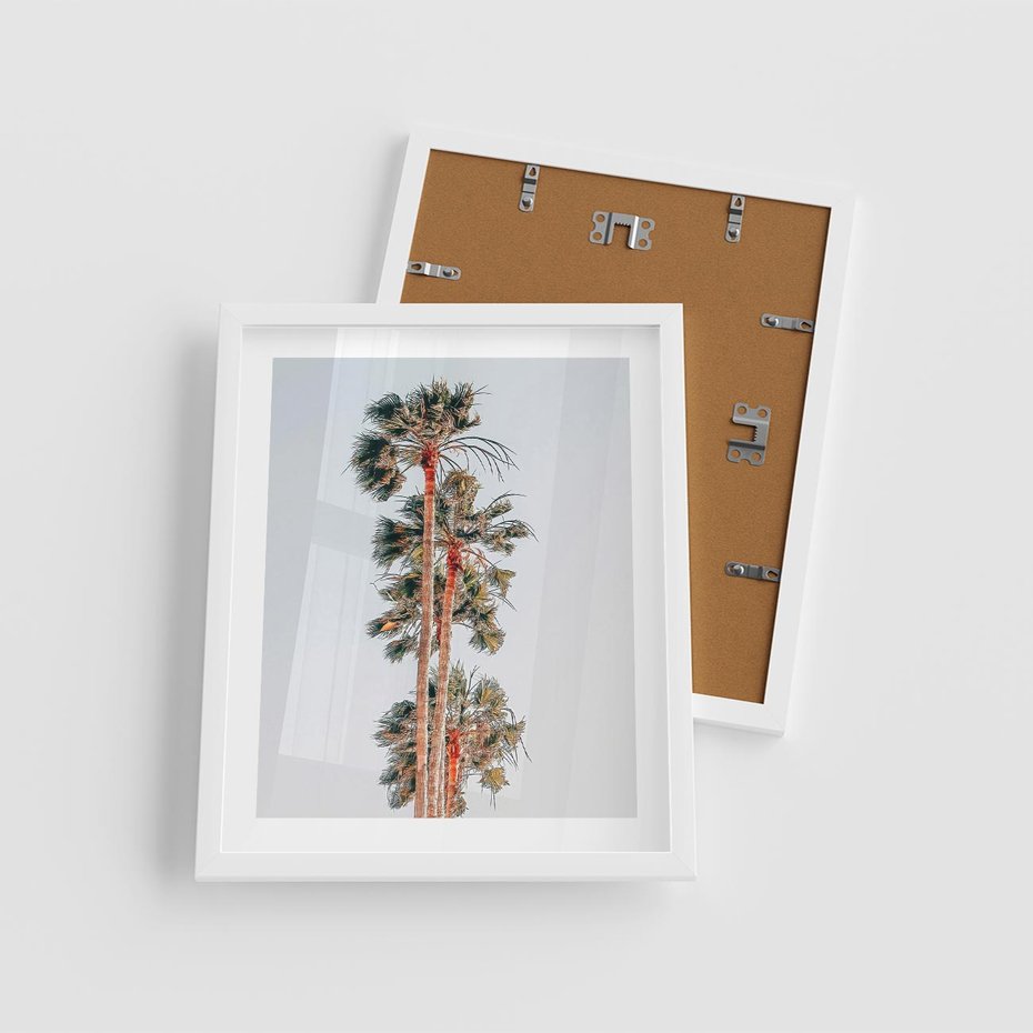 Plakat w ramie 40x50 - Kształty Palm - palmy, zdjęcie - rama biała