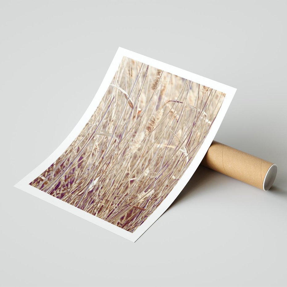 Plakat bez ramy 30x40 - Suche Trawy w Wyjątkowym Stylu - suche trawy, boho styl