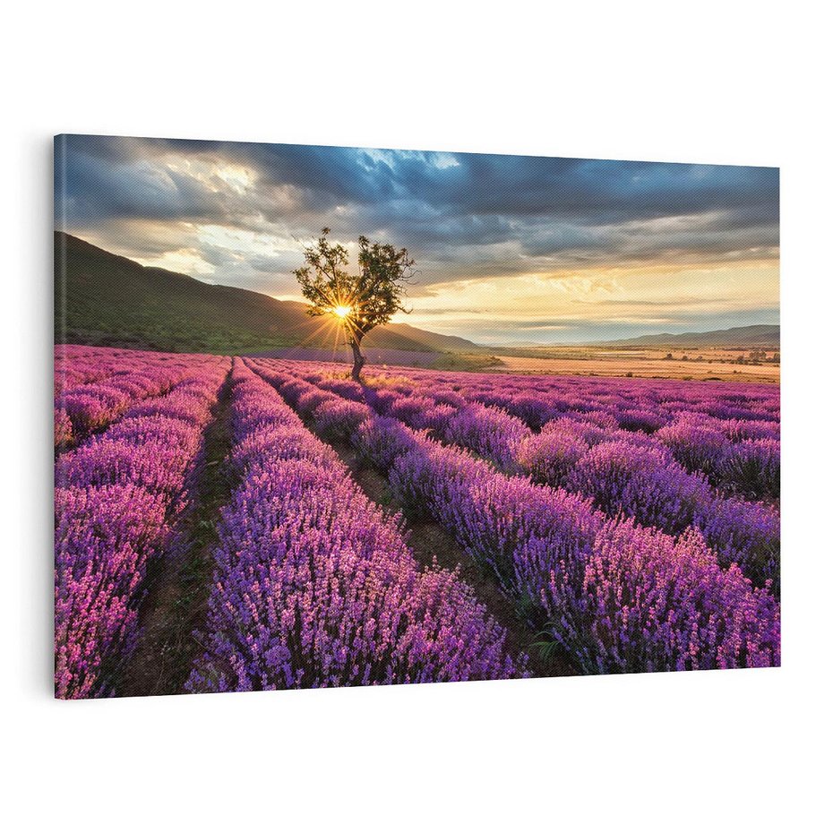 Obraz na płótnie 120x80 - Lawenda: Pachnący ogród natury - lawenda, kwiaty