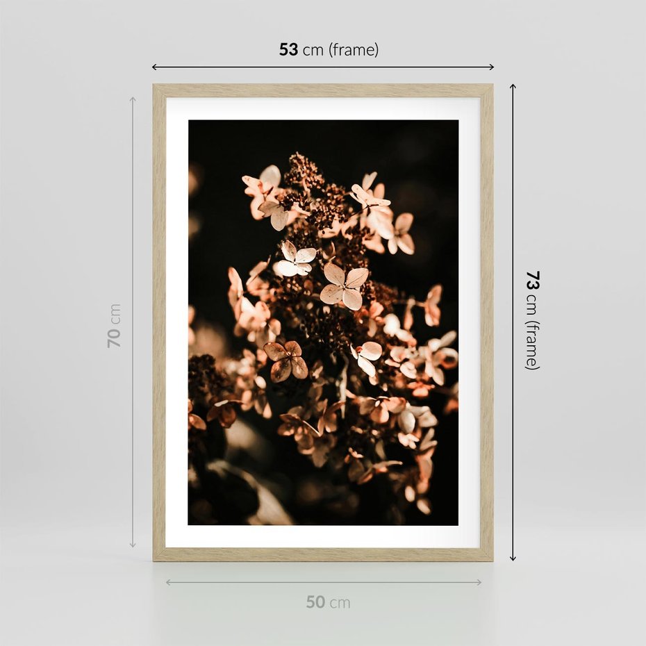 Plakat w ramie 50x70 - Hortensja - Suchy Kwiat w Sztuce - hortensja, suchy kwiat - rama drewno