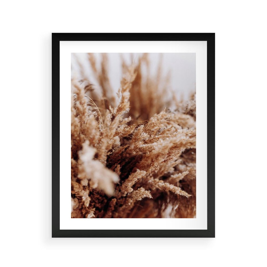 Plakat w ramie 40x50 - Sztuka Suszonych Traw - trawa pampas, suszone trawy - rama czarna