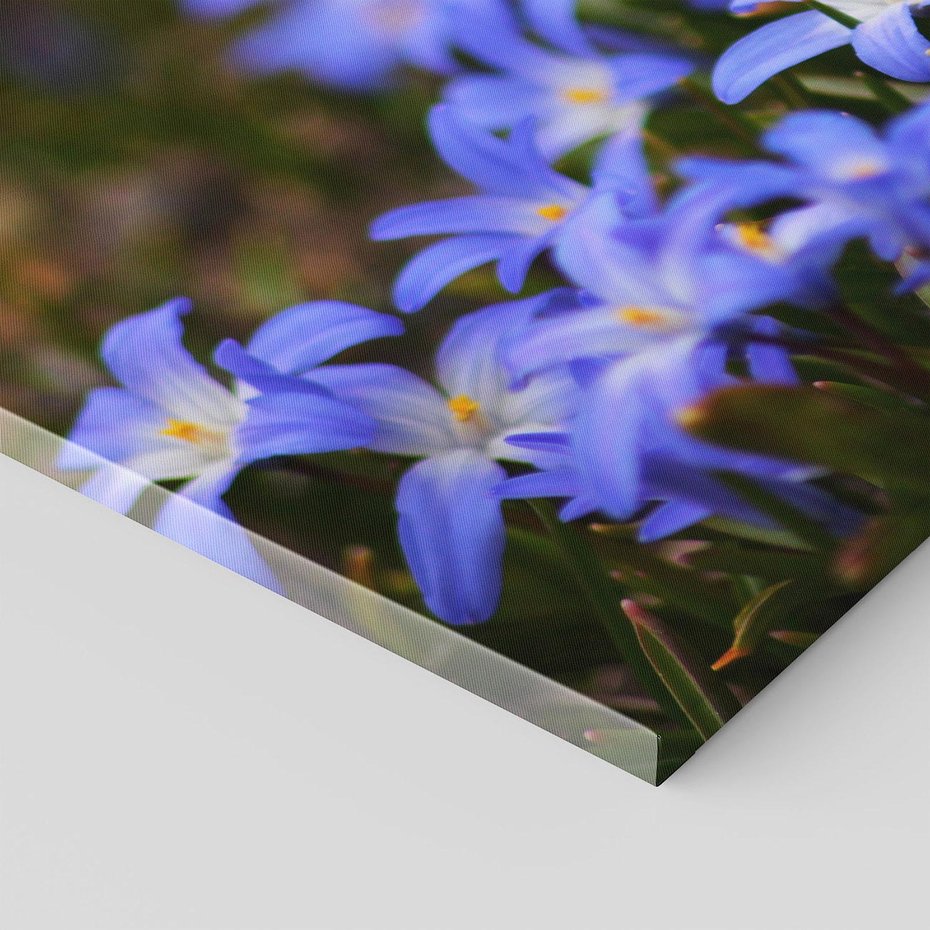 Obraz na płótnie 70x50 - Kwiatowy raj w naturze - kwiat, kwiaty