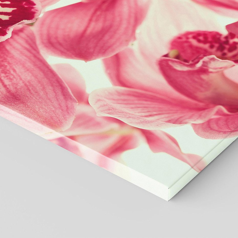 Obraz na płótnie 100x50 - Orchidea - delikatne kwiaty - orchidea, kwiaty