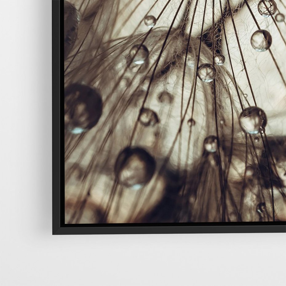 Obraz w ramie 70x100 - Lekkie dmuchawce - dmuchawce, krople - rama czarna