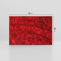 Obraz na płótnie 70x50 - Czerwona Pasja - czerwone, róże