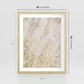 Plakat w ramie 40x50 - Białe Trawy Pampas - suche trawy, białe trawy - rama drewno
