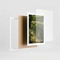 Plakat w ramie 30x40 - harmonia natury - las, drzewa - rama biała