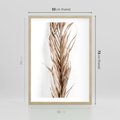 Plakat w ramie 50x70 - Minimalizm Palmowy: Sucha Uroda - sucha palma, minimalizm - rama drewno