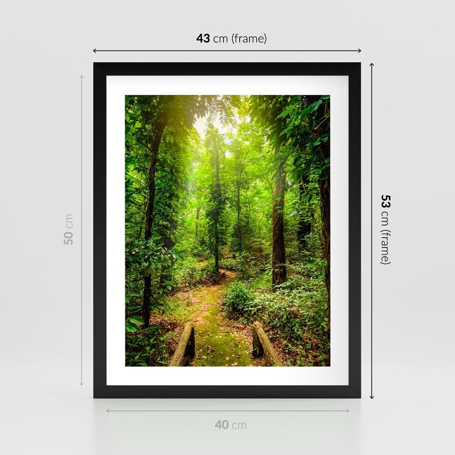 Plakat w ramie 40x50 - Współistnienie z naturą - drzewa, las - rama czarna